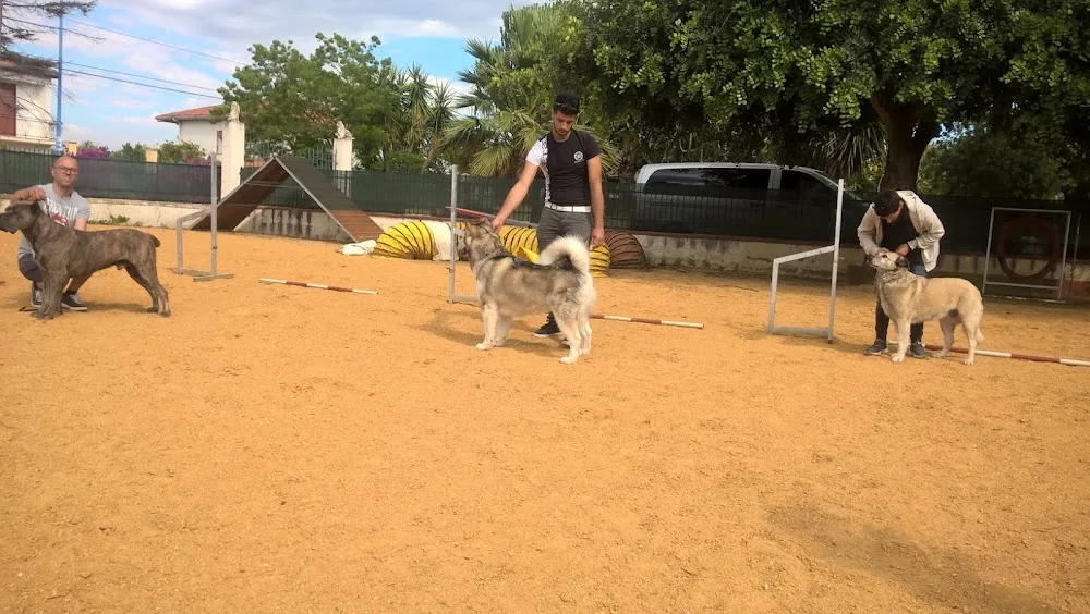 CENTRO CINOFILO VILLA ADRIANA - ASD UN CANE PER AMICO - Agrigento pet otel