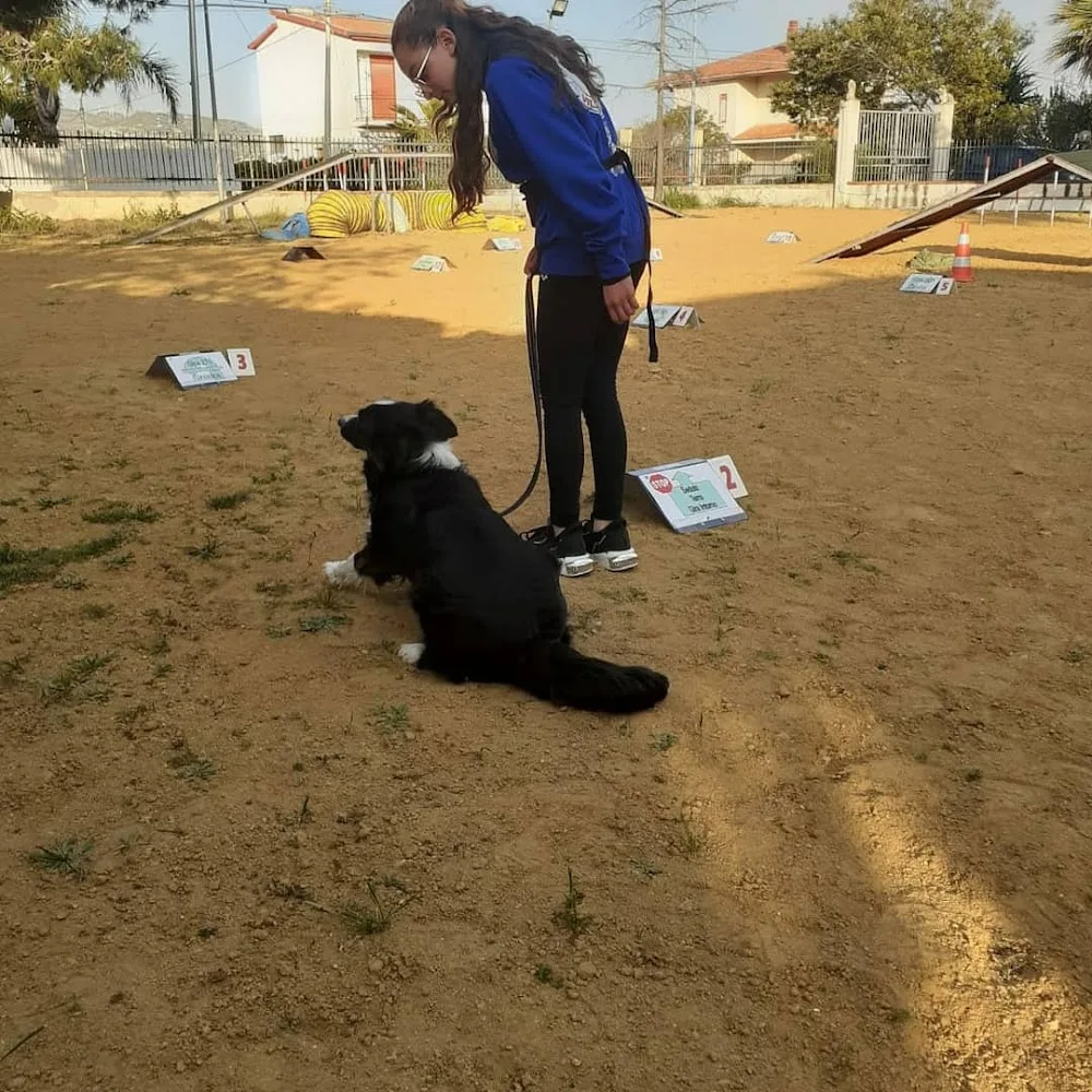 CENTRO CINOFILO VILLA ADRIANA - ASD UN CANE PER AMICO - Agrigento pet otel görseli 3
