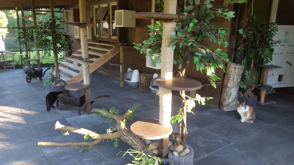 Grap Tanja Katzenpension - Ahneby pet otel görseli 2
