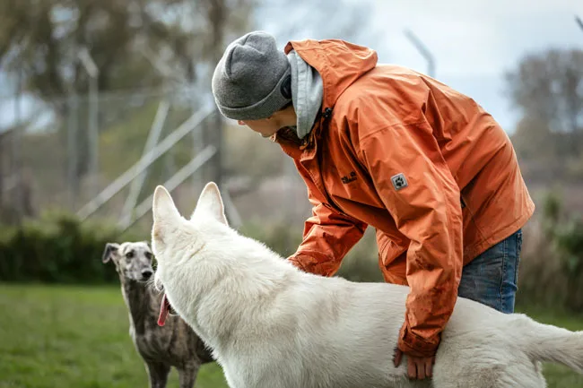Hundehotel Aegidius - Ahneby pet otel görseli 3