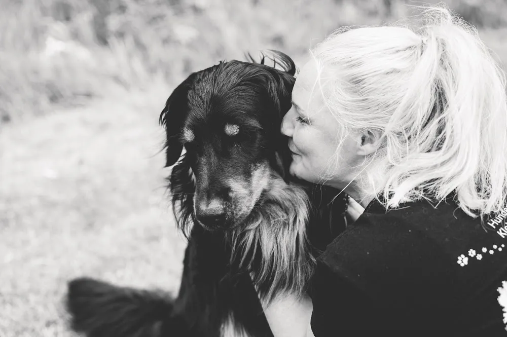 Hundezentrum TreeneWiese - Ahneby pet otel görseli 2