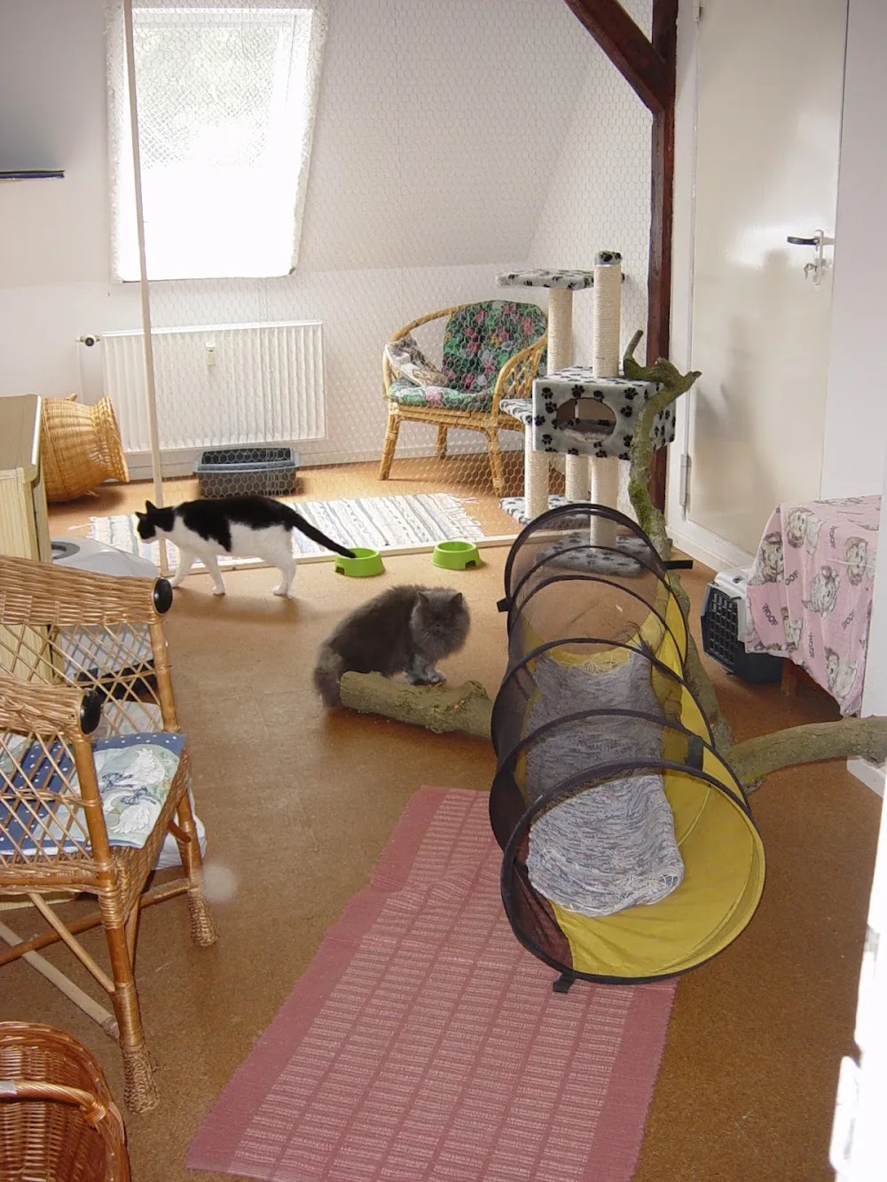 Katzenhotel Neuwühren - Ahneby pet otel görseli 3