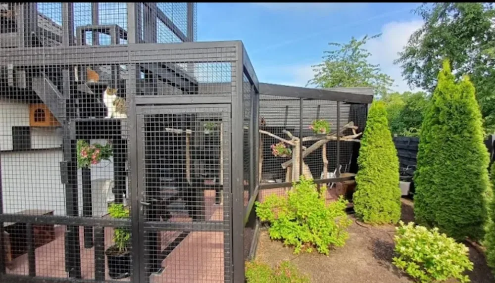Katzenpension Honig - Hamburg & Lüneburg - Ahneby pet otel görseli 2