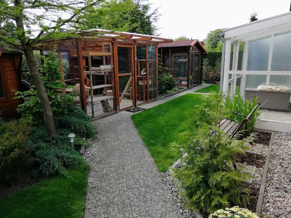 Katzenpension-Kastorf - Ahneby pet otel