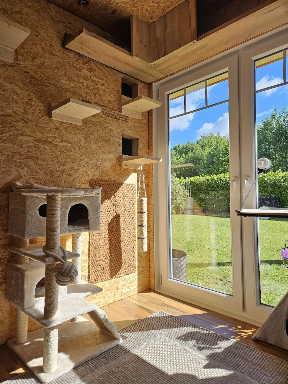 Katzenpension Kieler Süden - Ahneby pet otel görseli 2
