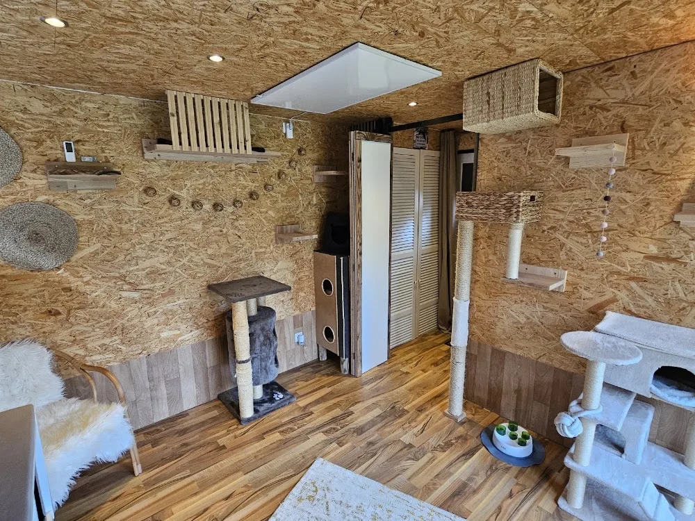 Katzenpension Kieler Süden - Ahneby pet otel görseli 3