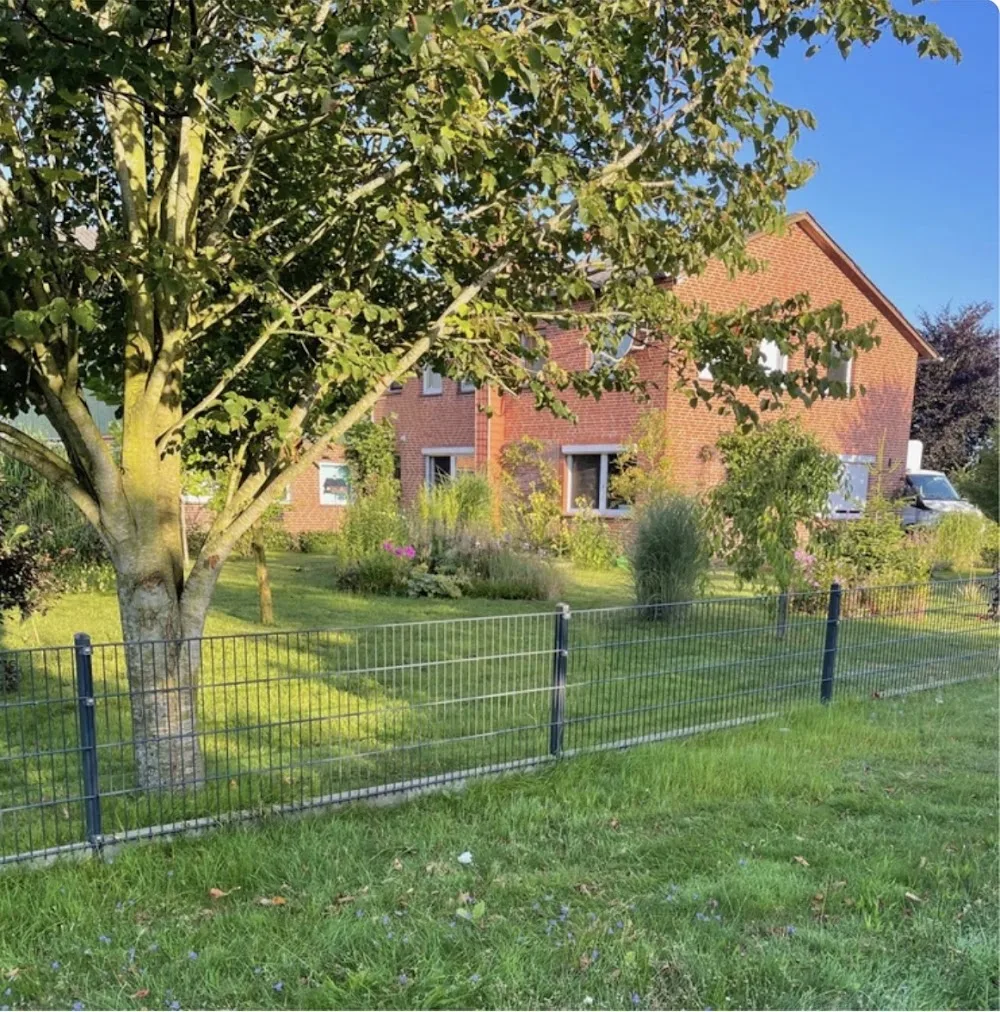 Lichthunde - Ahneby pet otel görseli 3