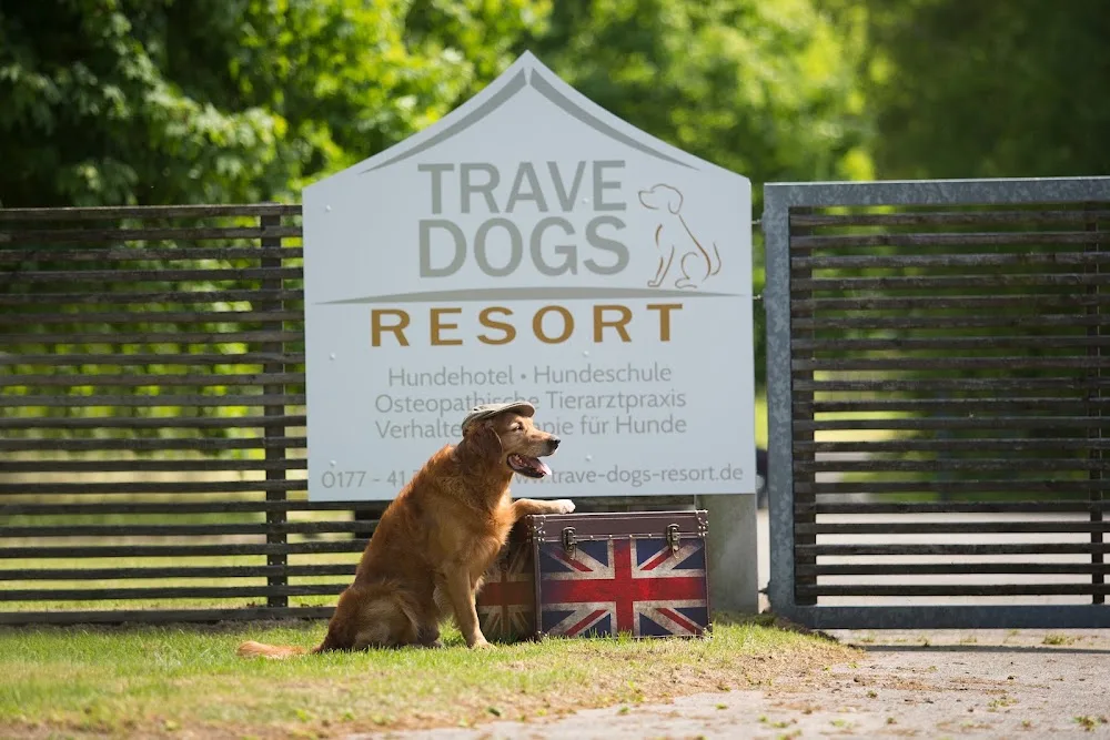 Trave Dogs Resort - Ahneby pet otel