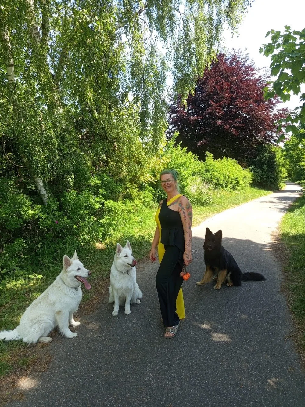 Wuffvital Hundebetreuung - Ahneby pet otel