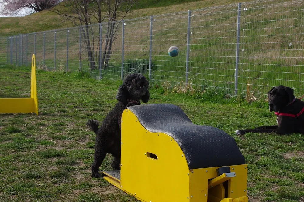 dog house リバティアイランド - Aichi pet otel görseli 3