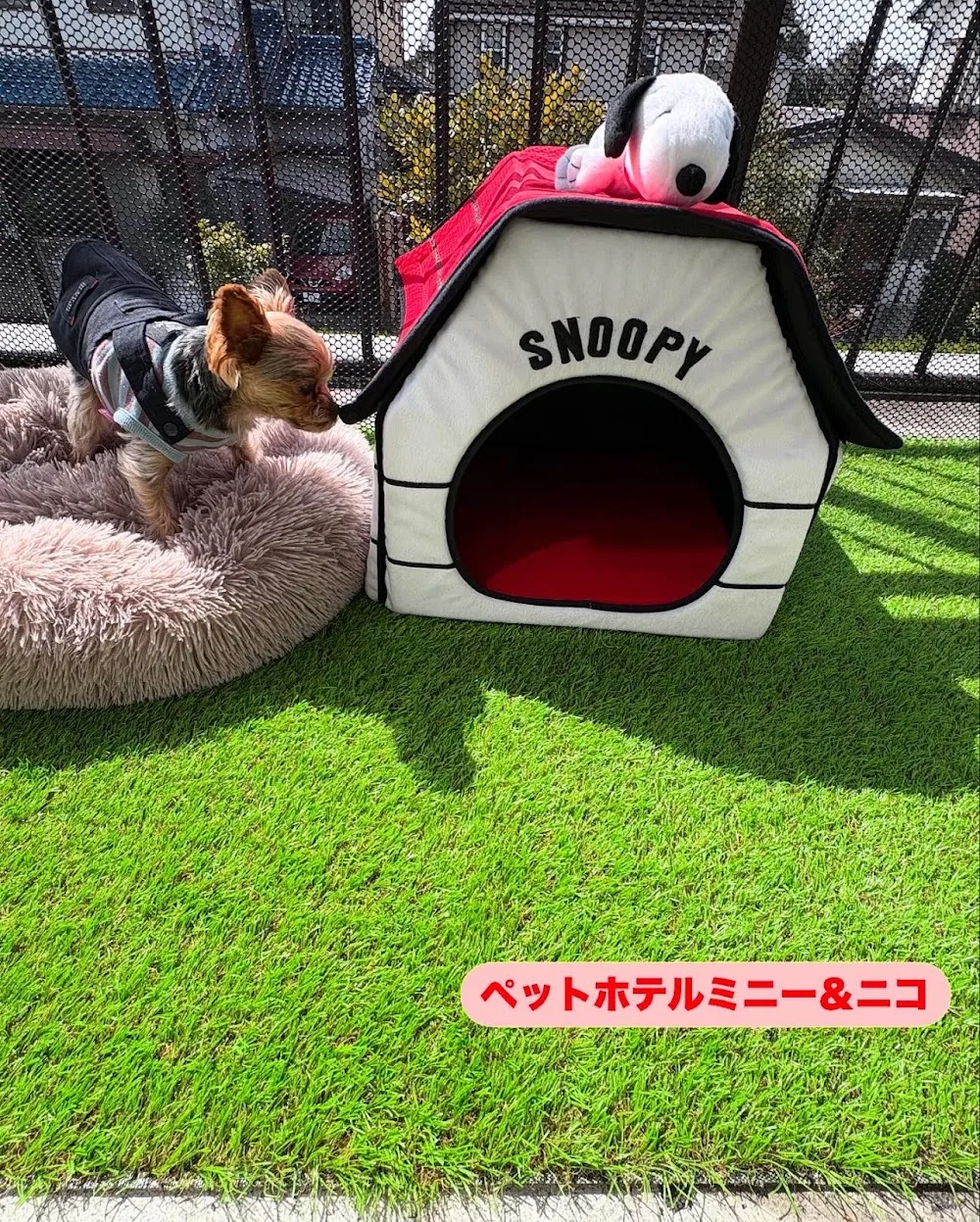 PET HOTEL ミニー＆ニコ - Aichi pet otel