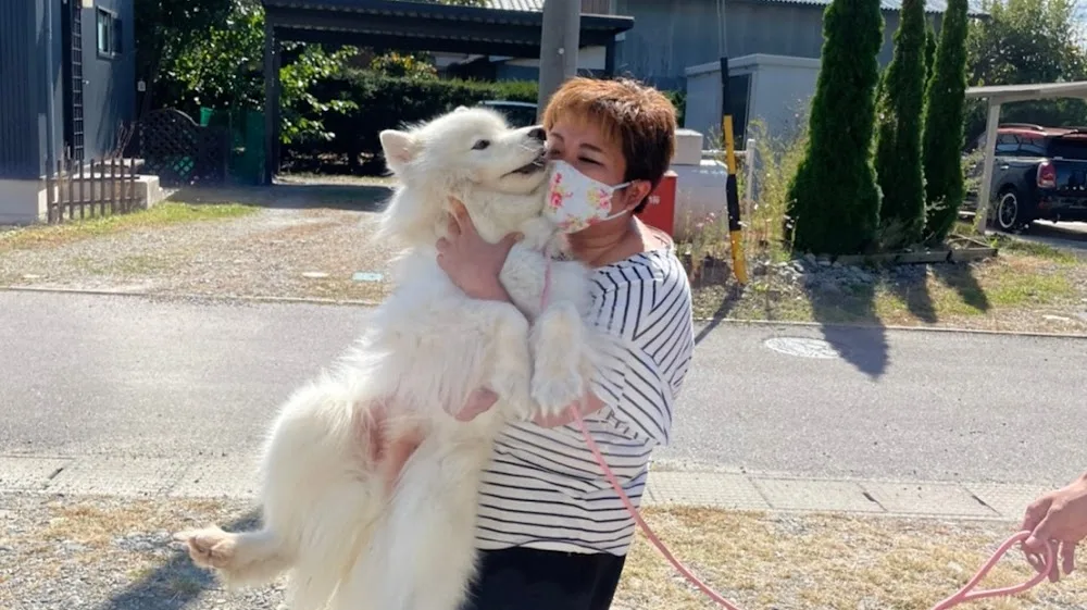 PetHotel&Care 暖 - Aichi pet otel