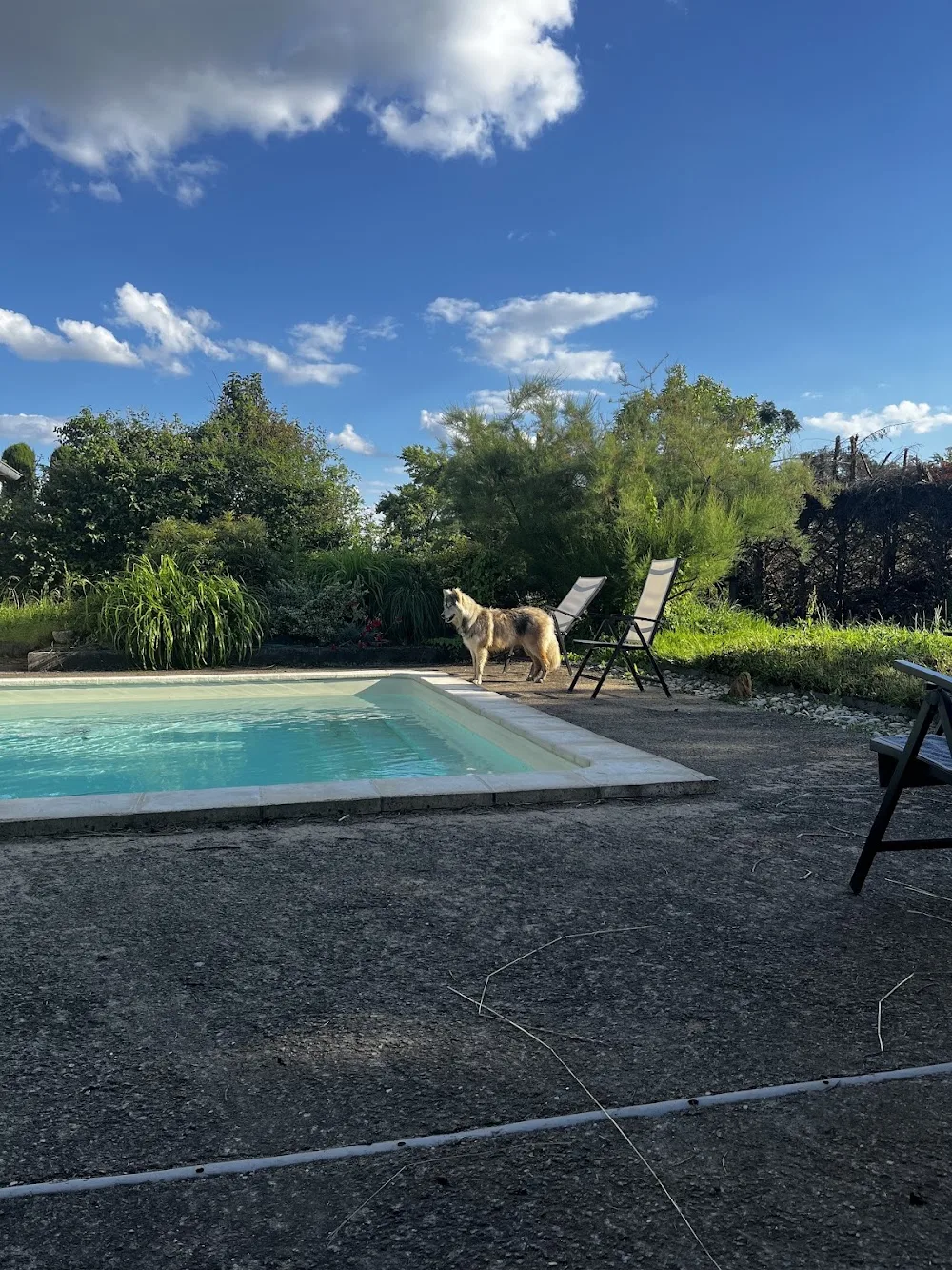 La Pension de l'Olivier - Ain pet otel görseli 3