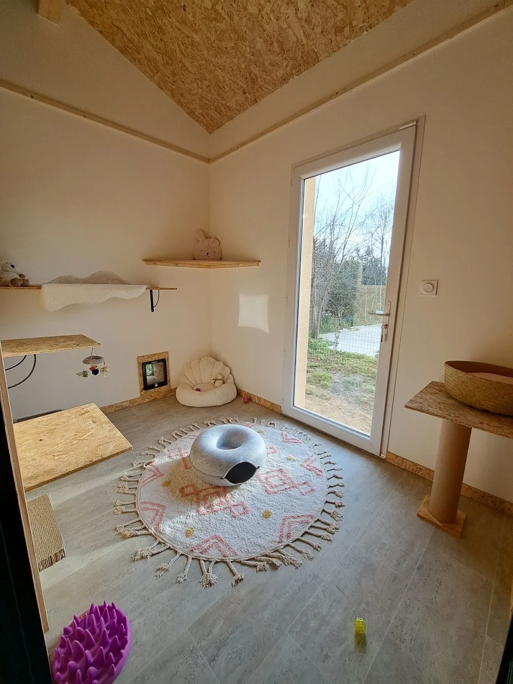 La Pension du Chat Potier - Ain pet otel