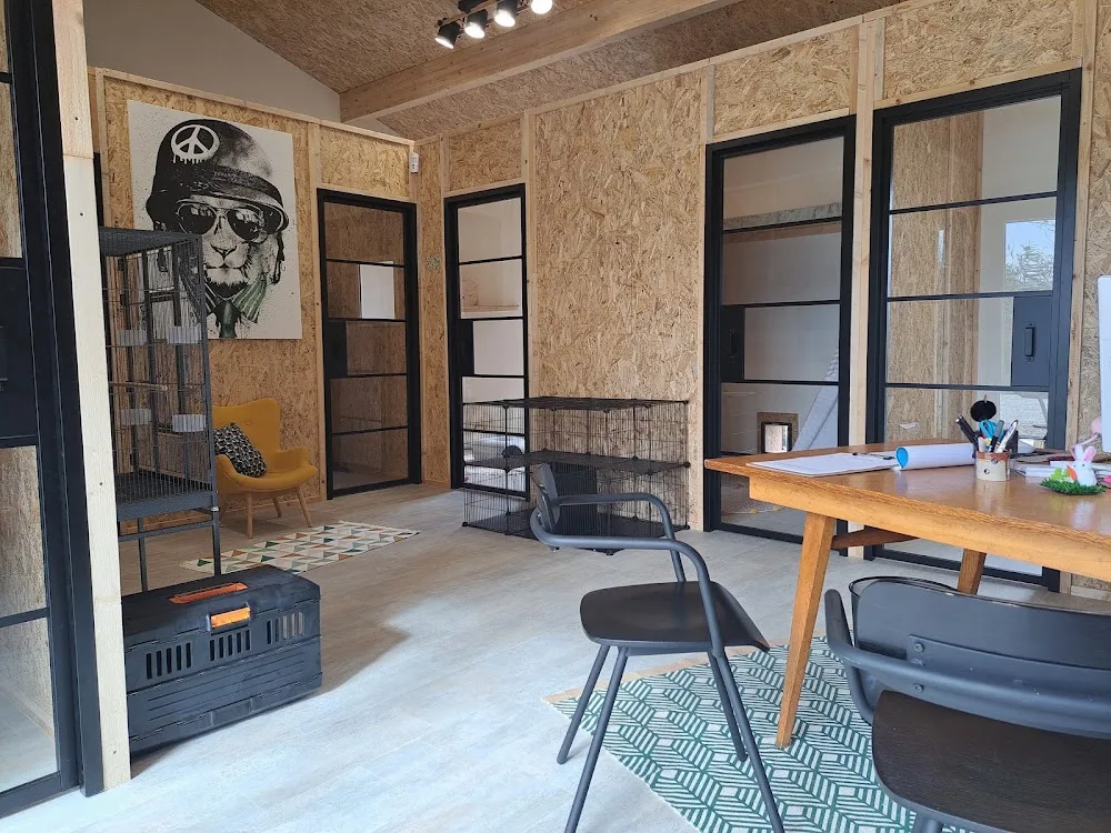 La Pension du Chat Potier - Ain pet otel görseli 3