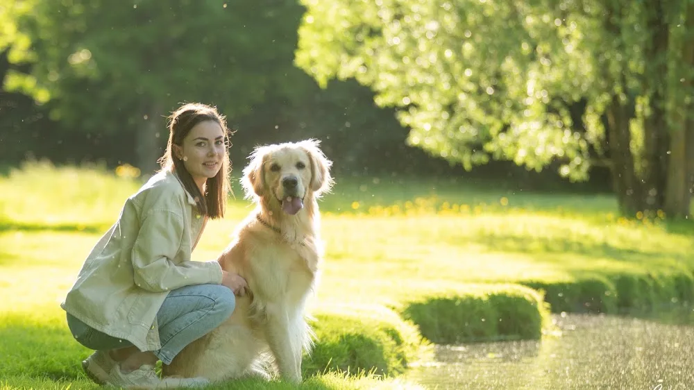 Le Domaine de Simba - Pension Canine - Ain pet otel