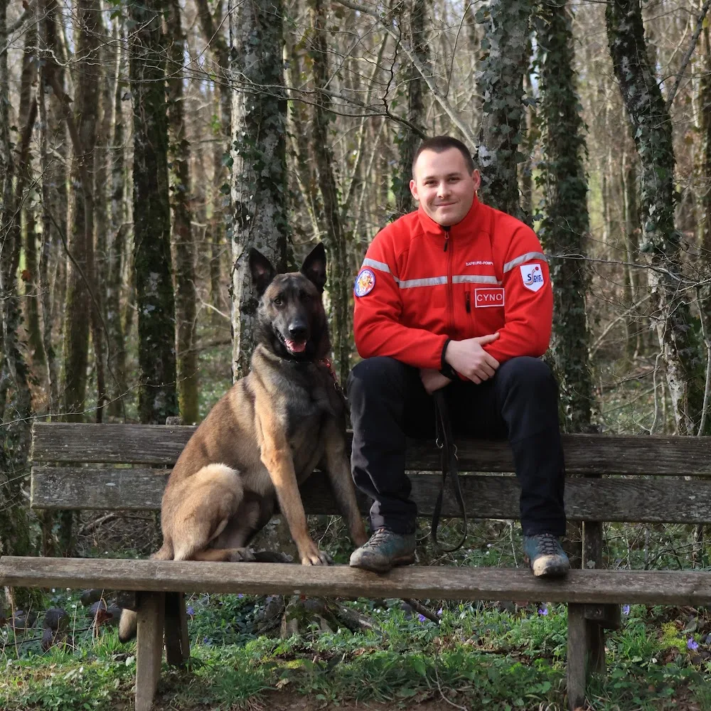 Les chiens du Val - Ain pet otel görseli 4