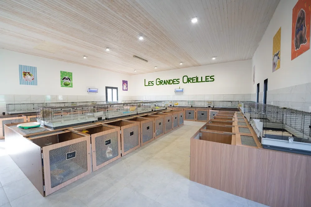 Les Grandes Oreilles Pension - Ain pet otel