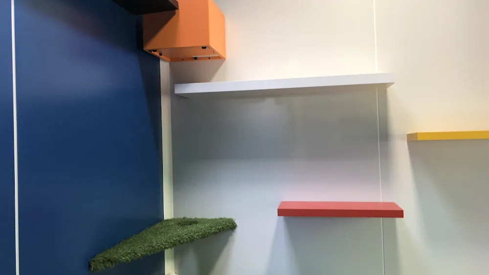 Mio cat's hotel - Ain pet otel