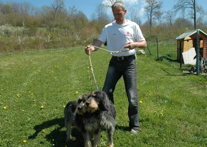 Pension canine du Bugey – Jacquet Lionel - Ain pet otel görseli 3