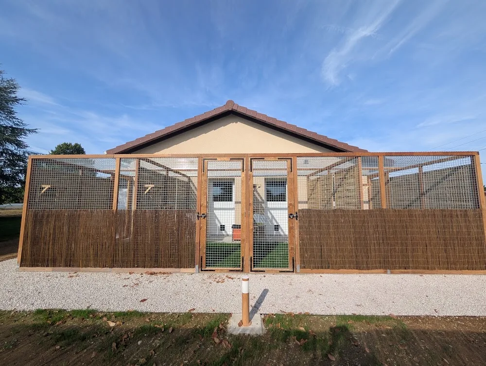 Pension Felis - Ain pet otel görseli 3