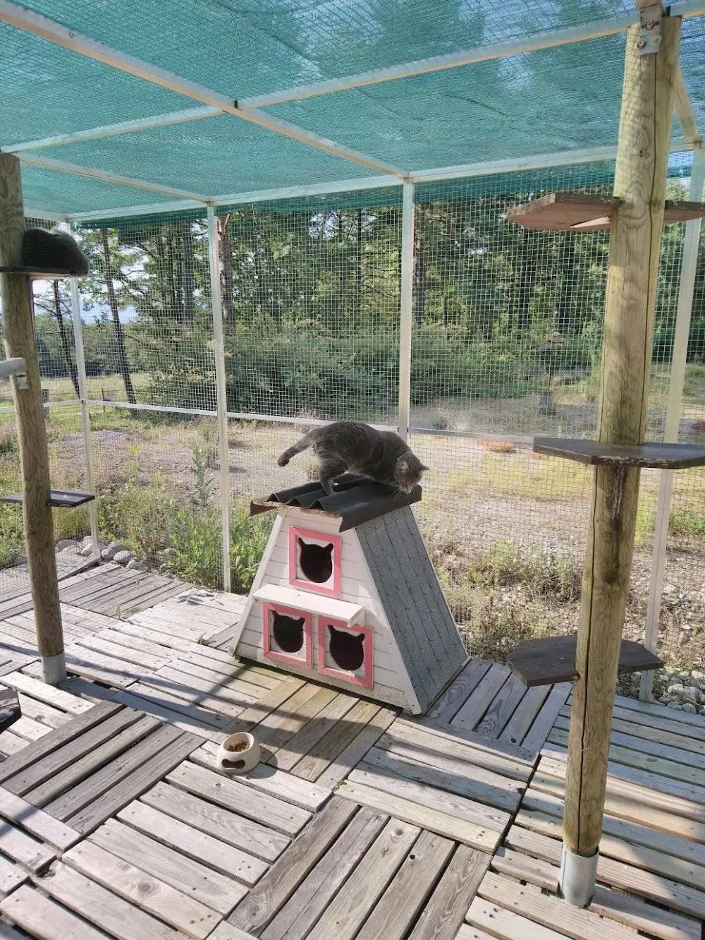 Pension pour chats "Au Chat Perché" - Ain pet otel görseli 3