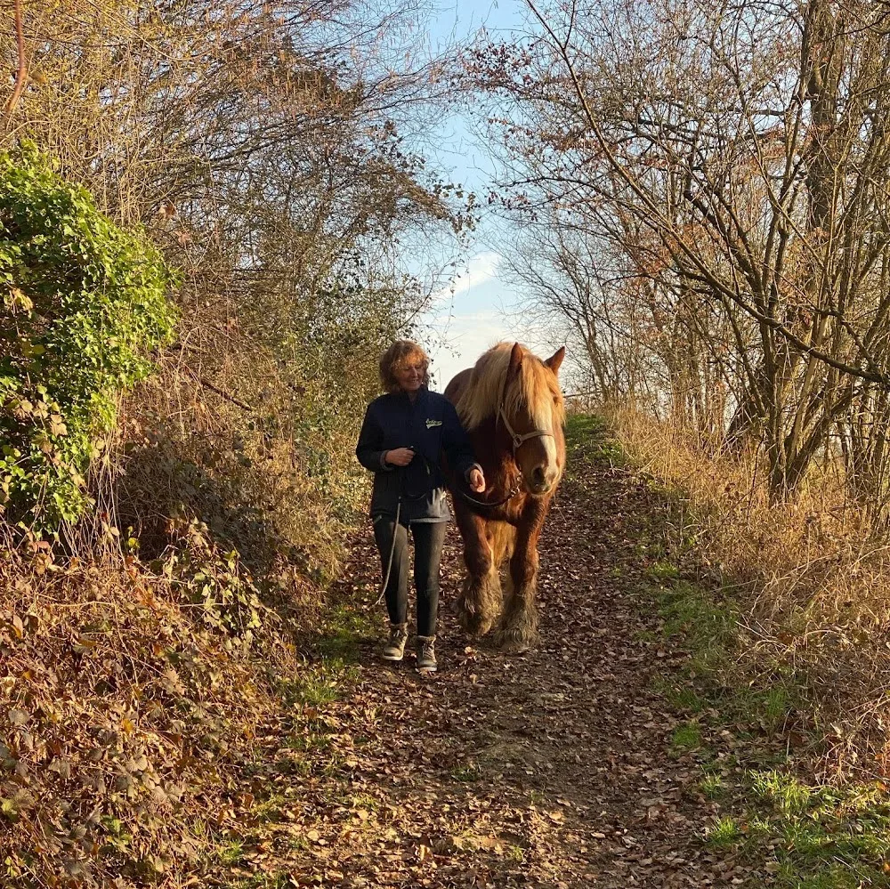 Ferme de la Rocé, élevage de chevaux, pension et mediation animale - Aisne pet otel görseli 4