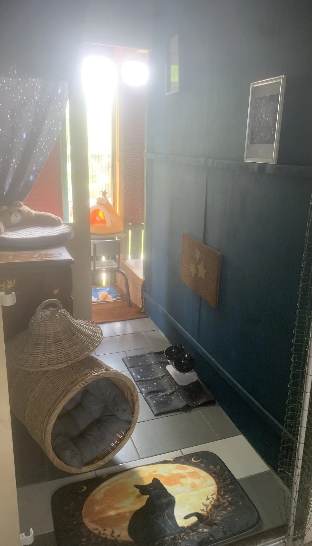 gardechat.fr - Aisne pet otel görseli 3