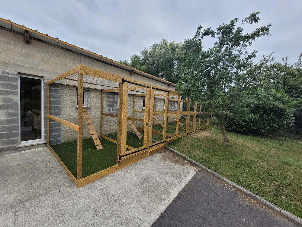 Hôtel DreamCaniCat - Aisne pet otel görseli 3