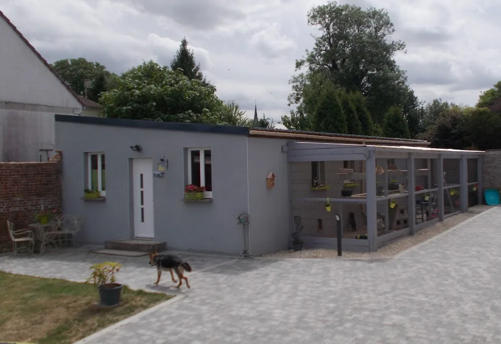 Hotel Félins Pour L'autre - Aisne pet otel görseli 2