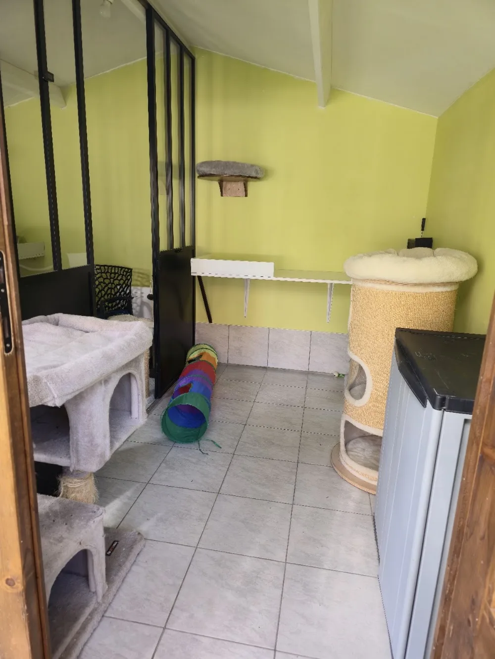 la halte féline - Aisne pet otel