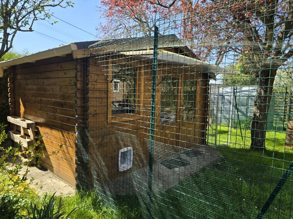 la halte féline - Aisne pet otel görseli 3
