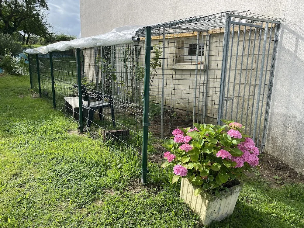 L'Arche de Noel 02 - Aisne pet otel görseli 2