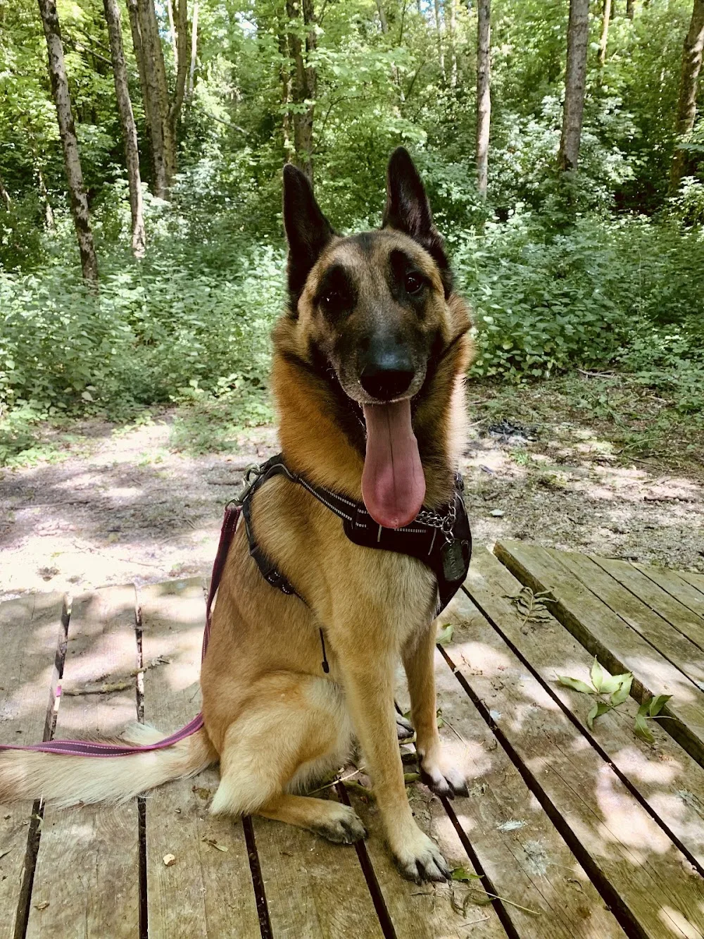 L.Joy&Dog - Aisne pet otel