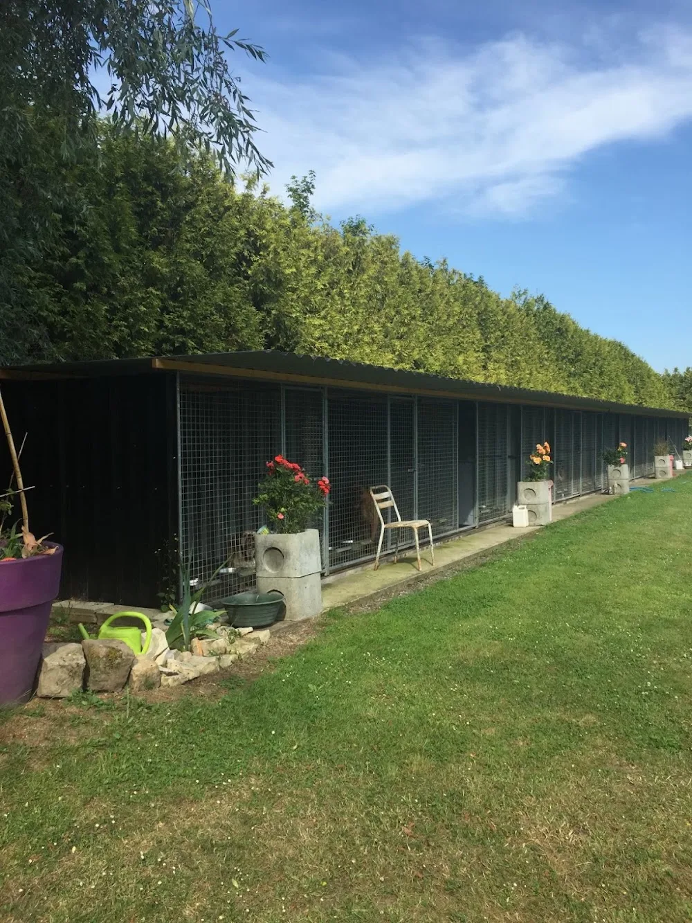 pension canine de louxor - Aisne pet otel