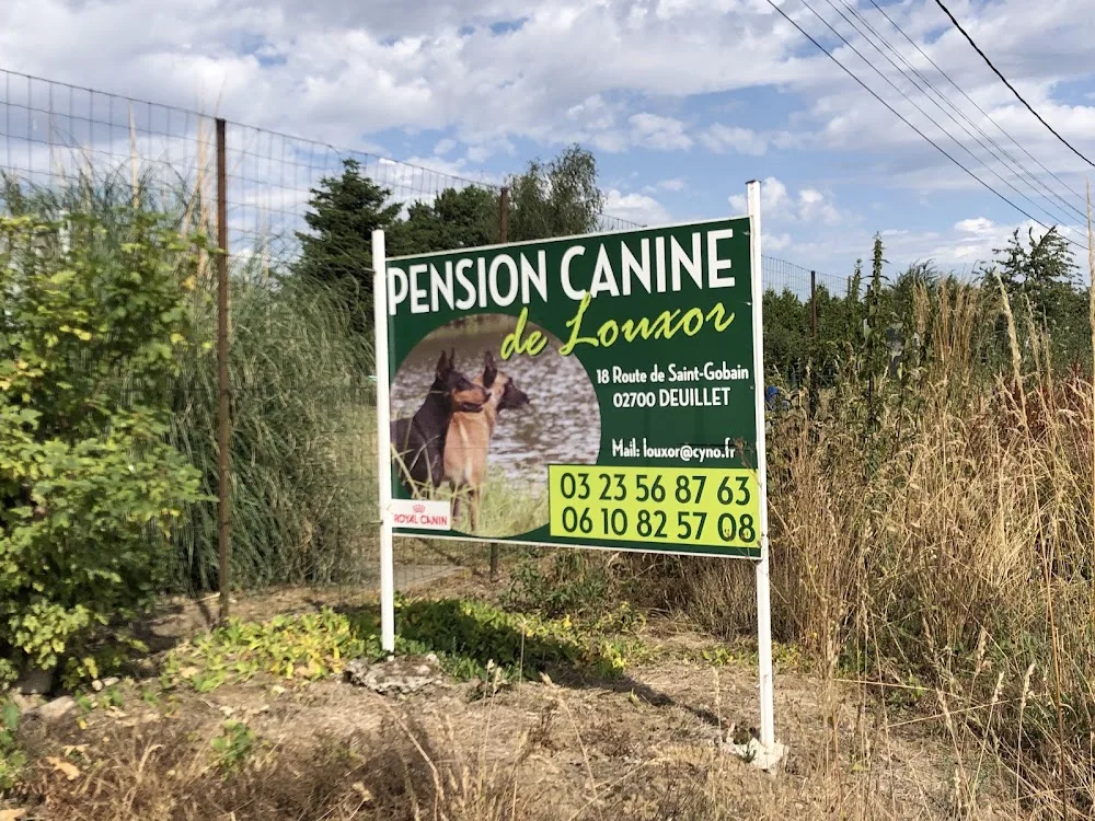 pension canine de louxor - Aisne pet otel görseli 3