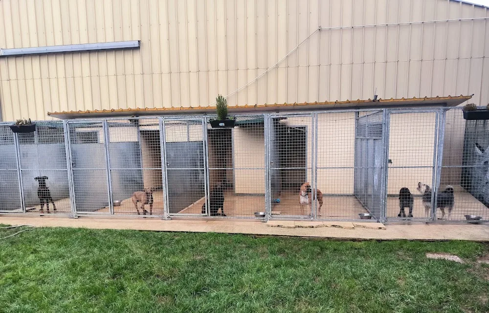 Pension canine des Hauts d'Autrêches - Aisne pet otel görseli 3