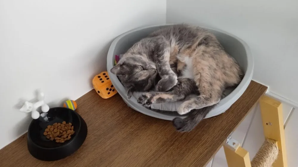 Prim’s Palace - Aisne pet otel görseli 2