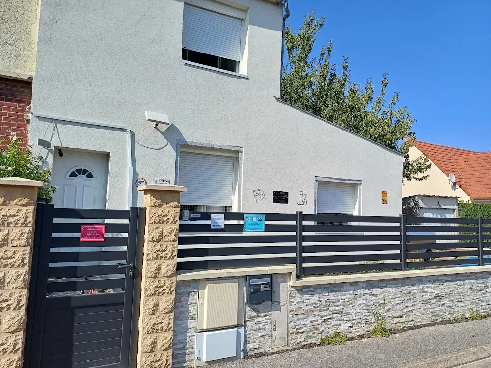 Syl Famille D'Accueil Chats et Chiens - Aisne pet otel