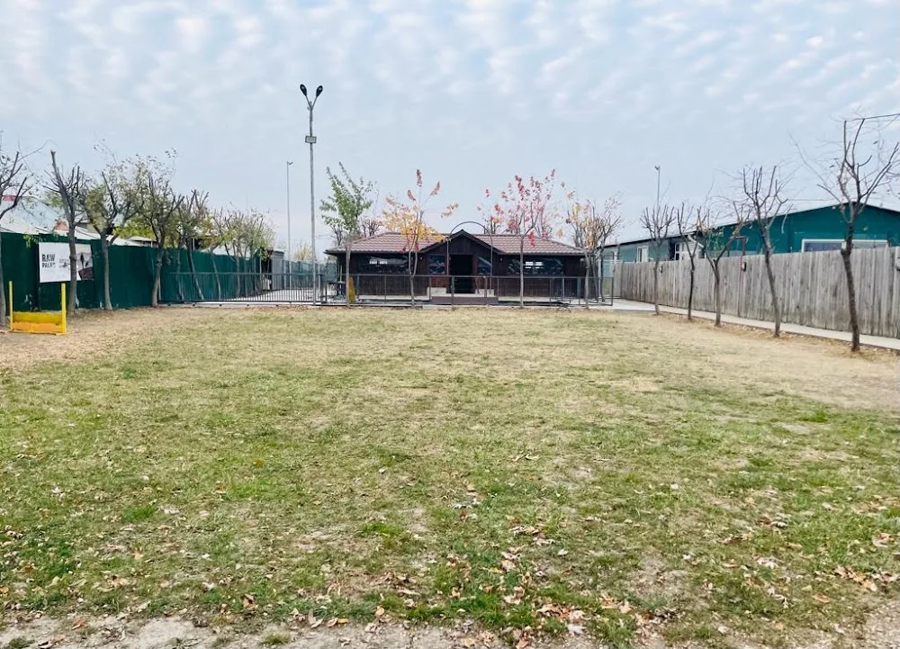 Allchino Pet Hotel - Alba pet otel görseli 3