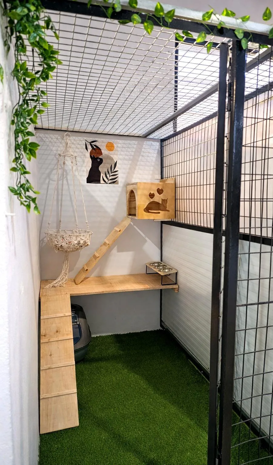 Bubacan - Albacete pet otel görseli 3