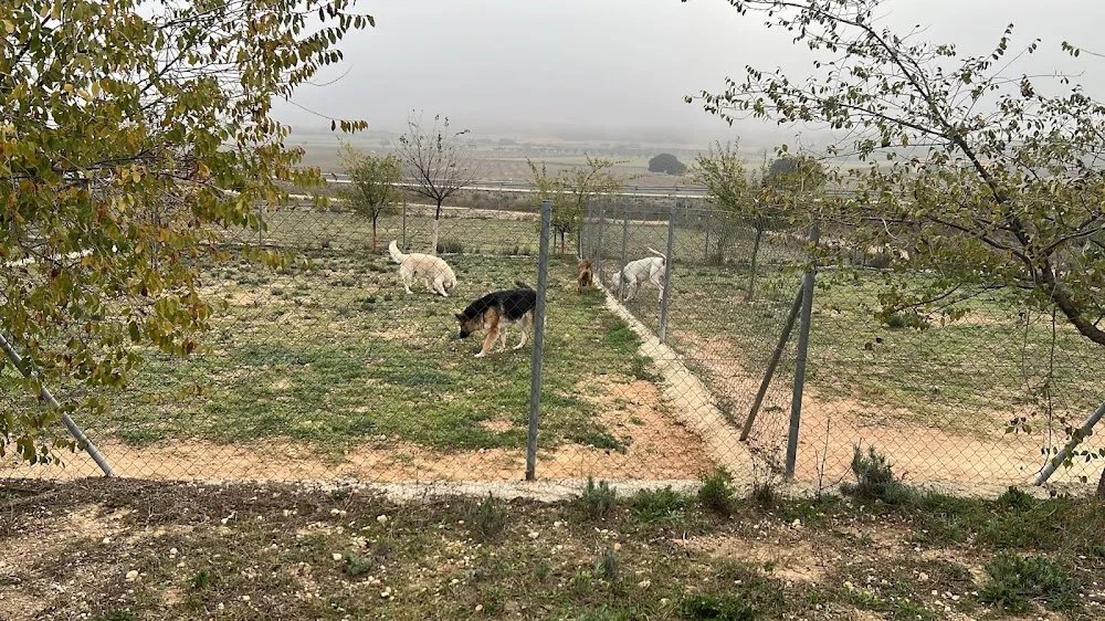 Cinocan Residencia Canina y Felina - Albacete pet otel görseli 3