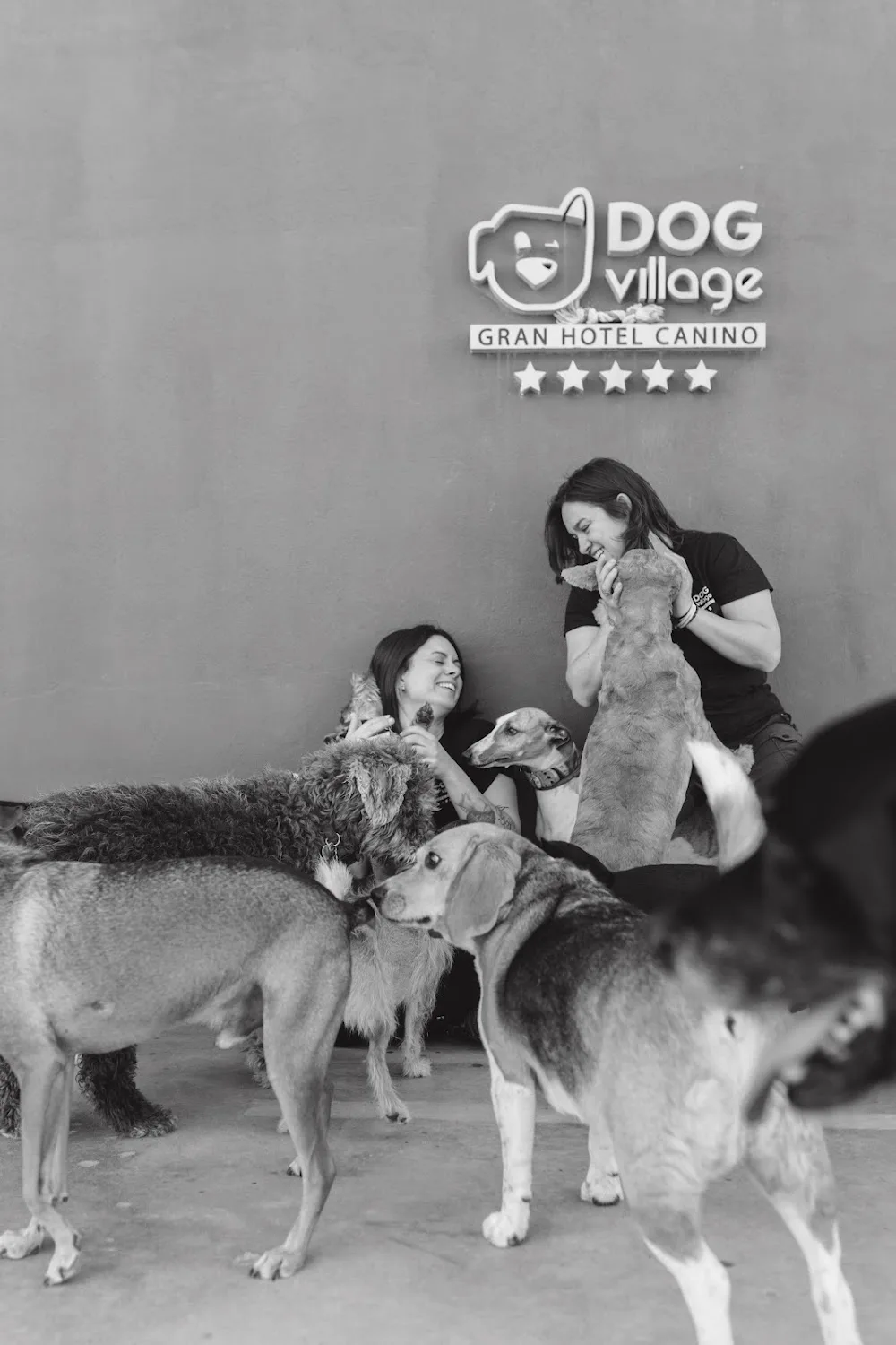 Dog Village - Albacete pet otel