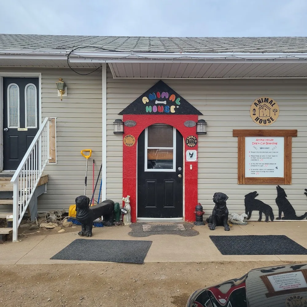 Animal House Dog and Cat Boarding - Alberta pet otel