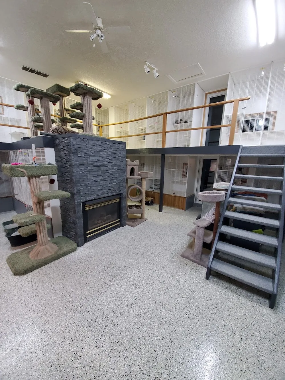 Calico Hills Kitty Lodge - Alberta pet otel
