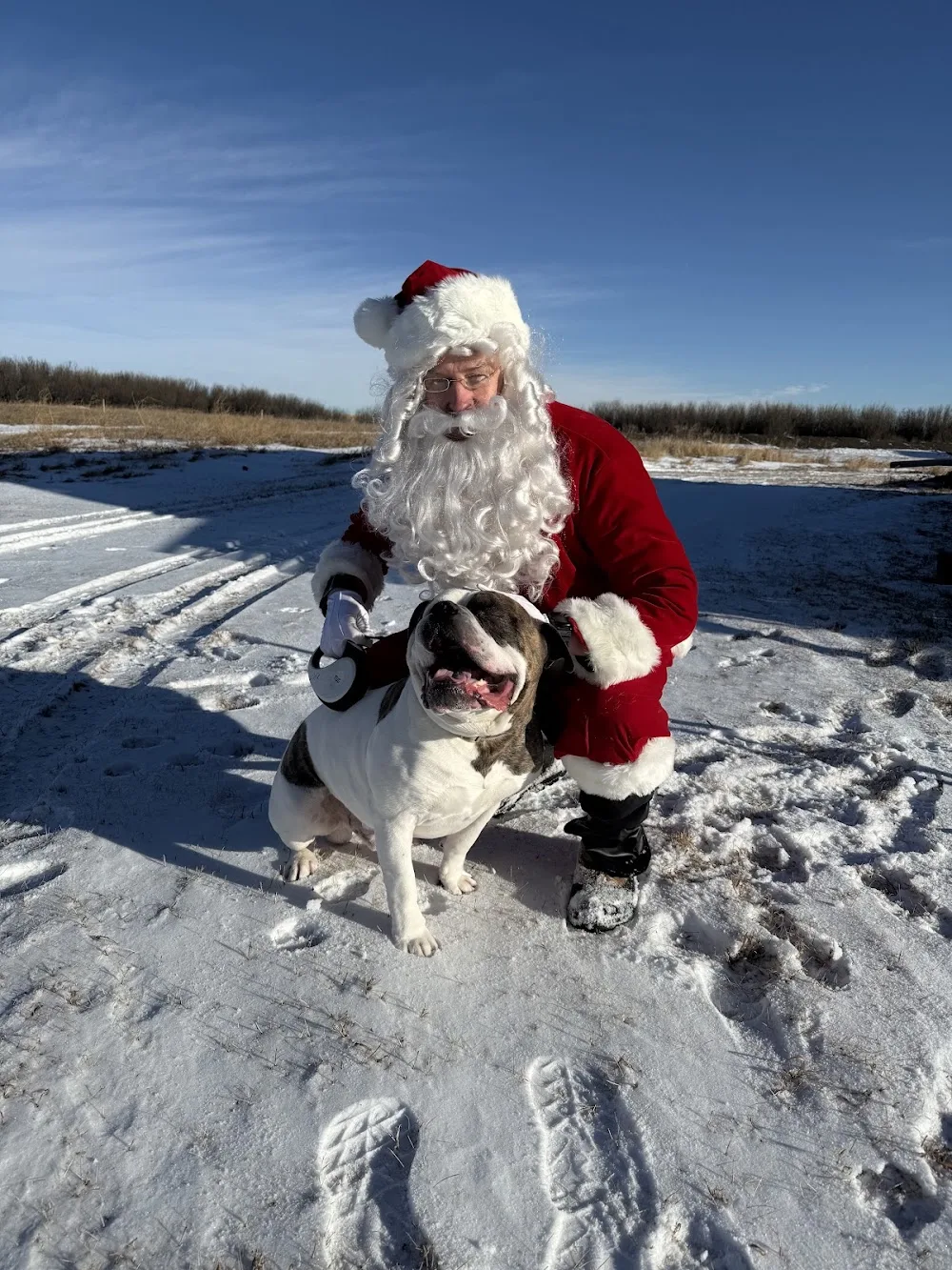 Country Home Kennels Inc - Alberta pet otel görseli 3