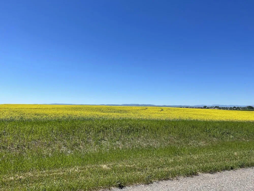 Foothills Pet Resort & Spaw - Alberta pet otel