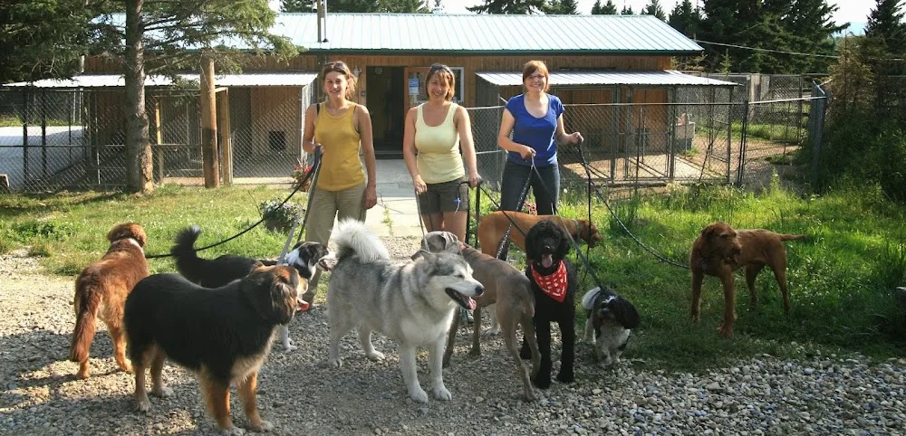 Happytails Pet Retreat - Alberta pet otel görseli 3