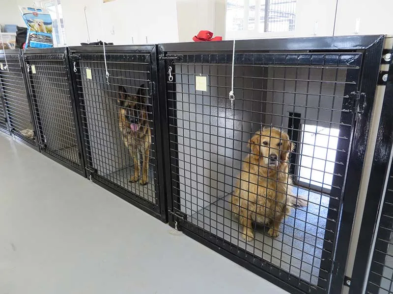 Hill Top Kennels - Alberta pet otel görseli 3