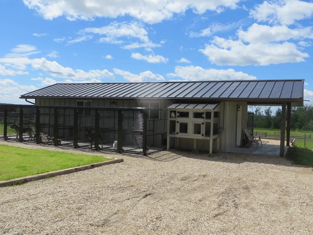 Hill Top Kennels - Alberta pet otel görseli 6